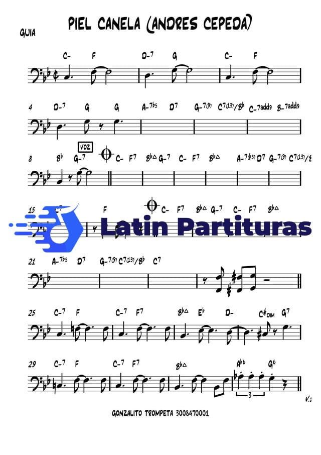 Andrez Cepeda - Piel Canela (Bolero)