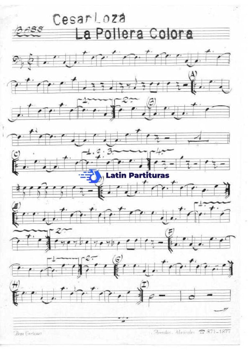 Cesar Loza - La Pollera Colora