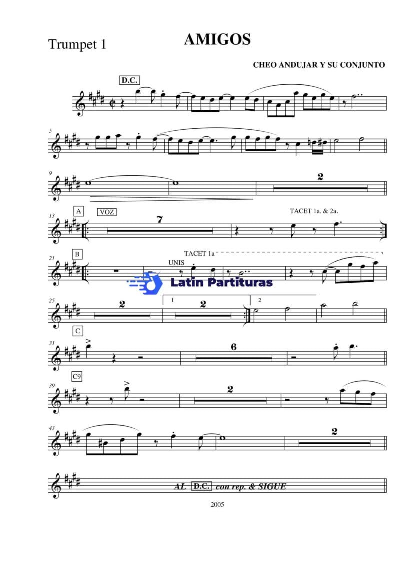 Conjunto Chaney - Amigos