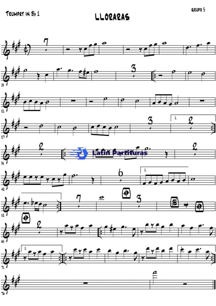 Grupo 5 - Lloraras