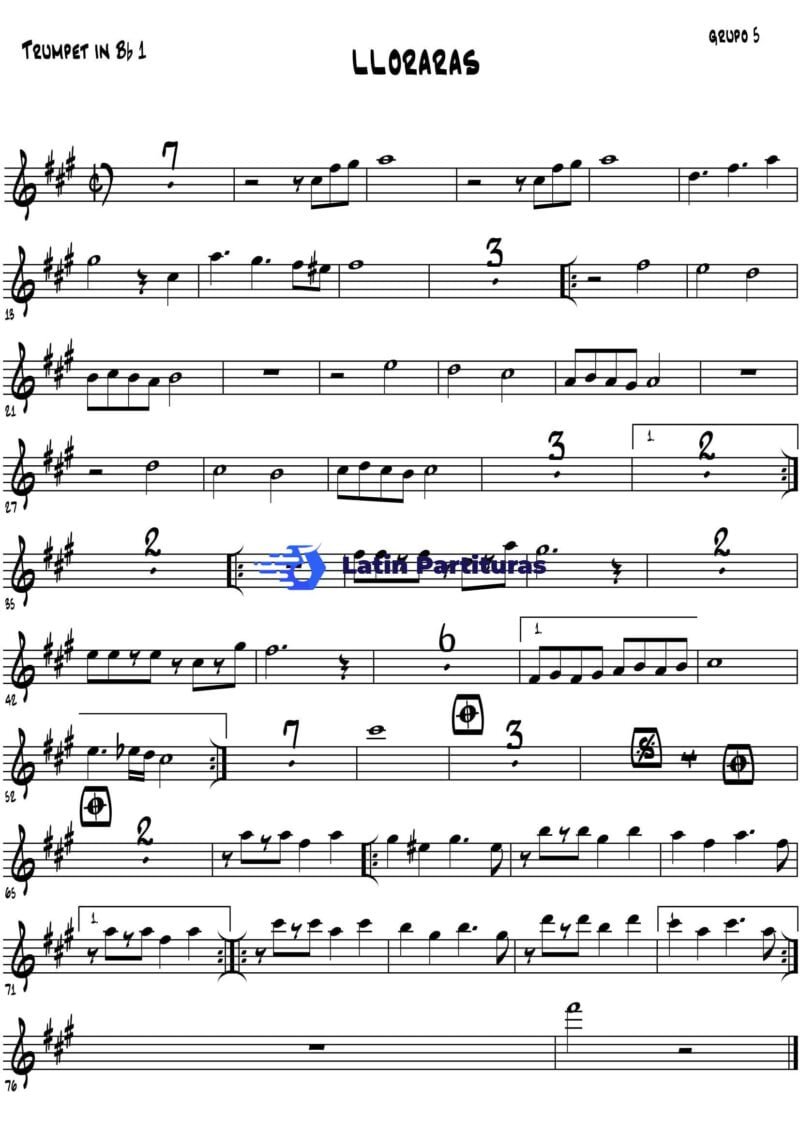 Grupo 5 - Lloraras