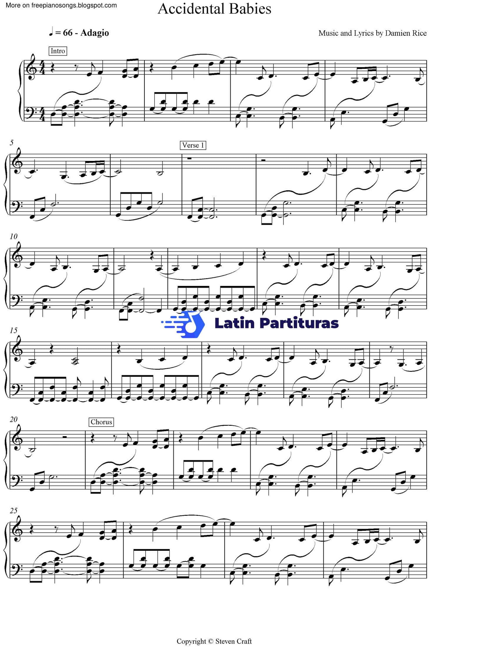 Damien Rice - Accidental Babies 1 Damien Rice - Accidental Babies