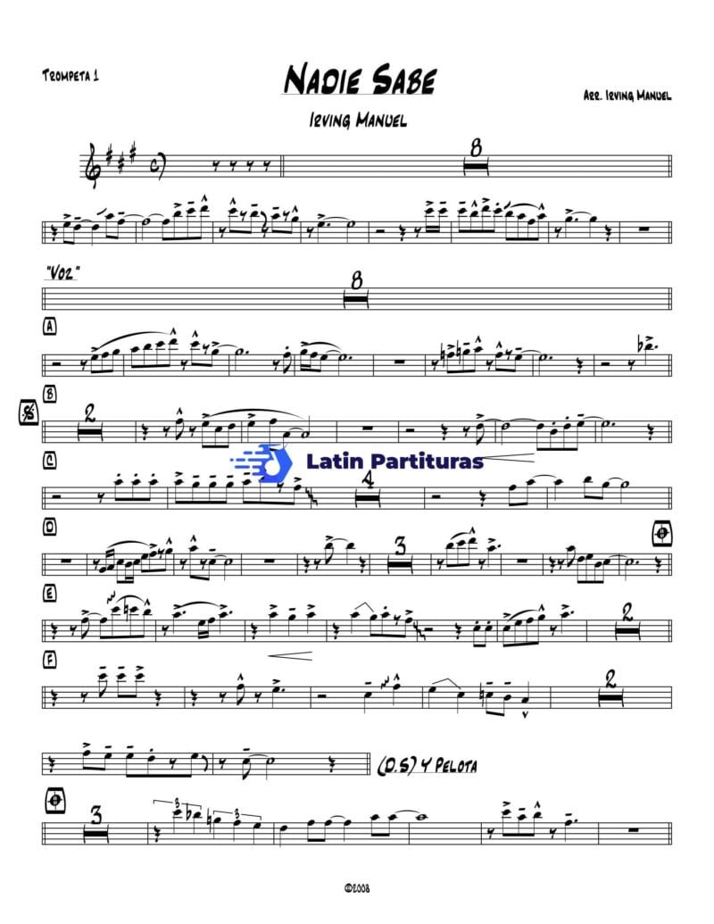 Irving Manuel - Nadie Sabe