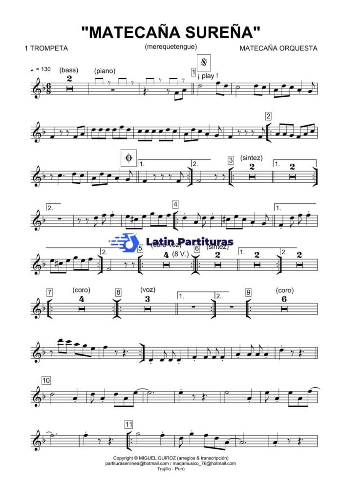 Matecaña Orquesta - Matecaña Sureña