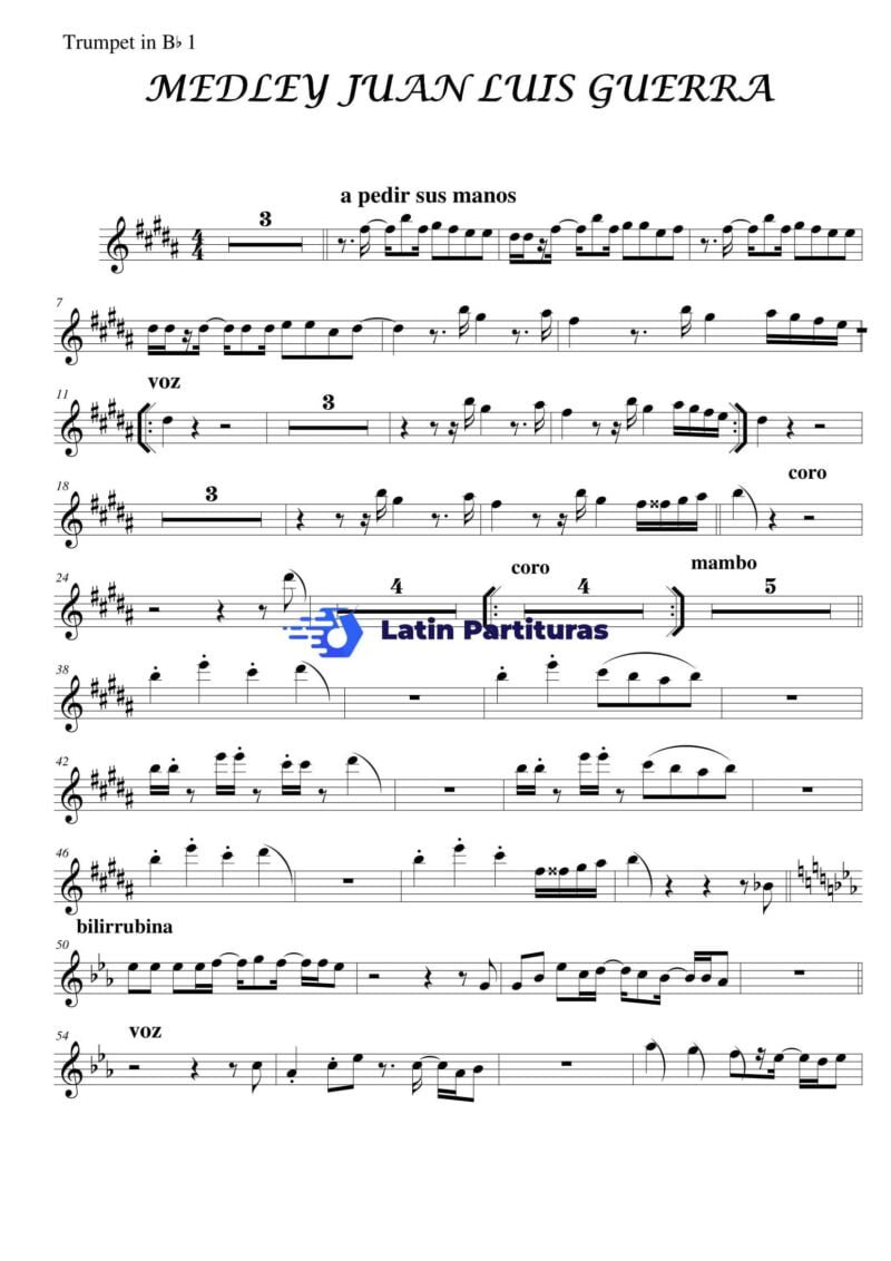 Medley Juan Luis Guerra