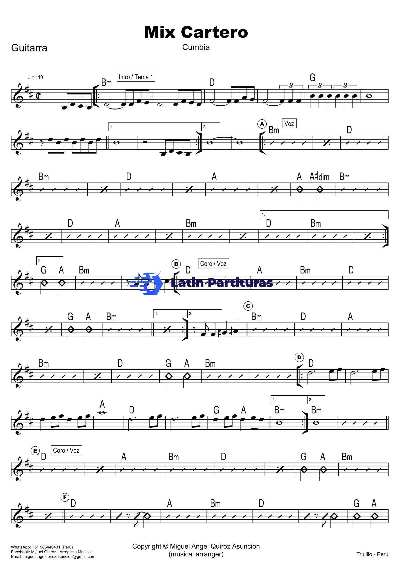 Papillon - Mix Cartero 1 Papillon - Mix Cartero