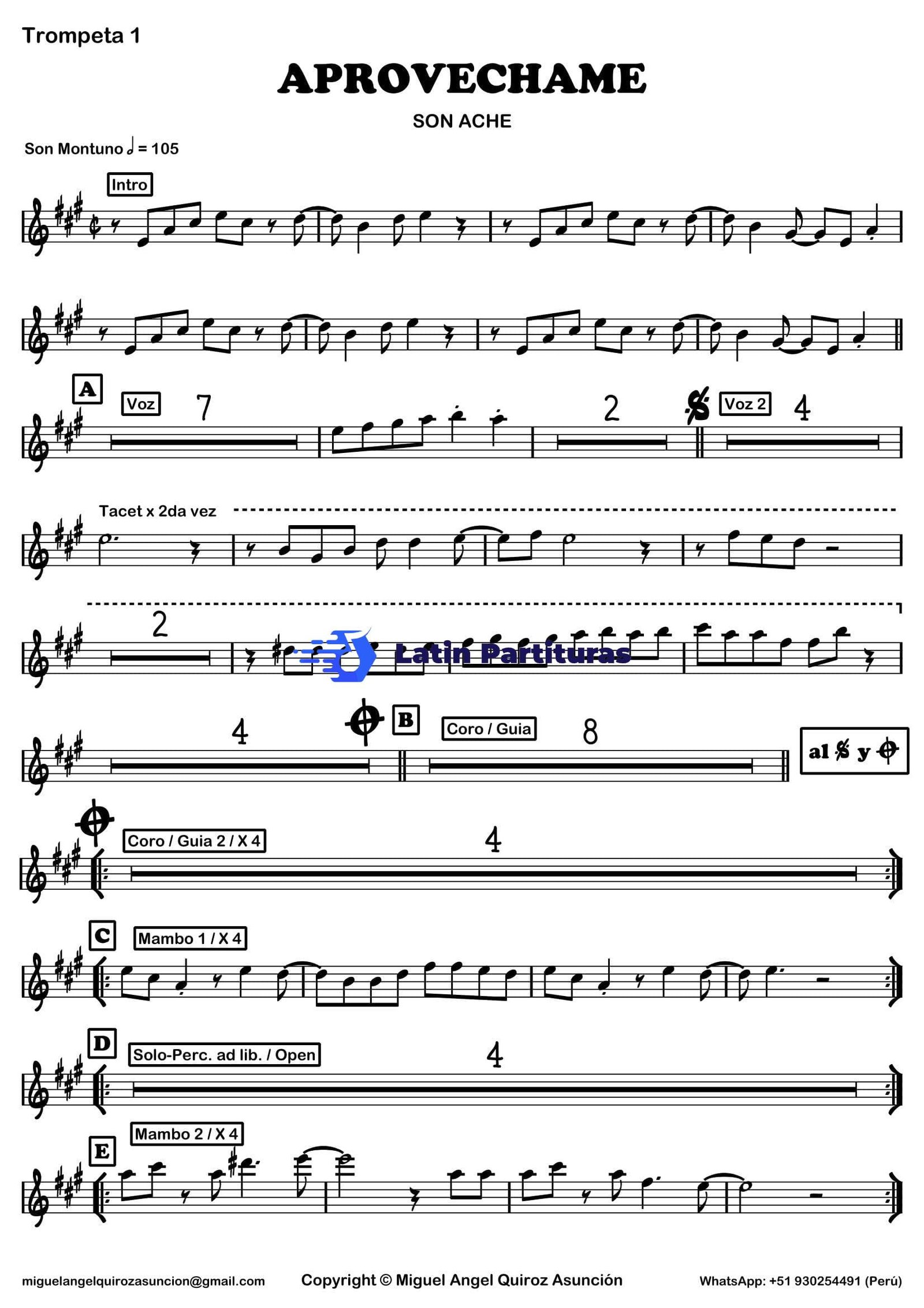 Son Ache - Aprovechame 1 Son Ache - Aprovechame