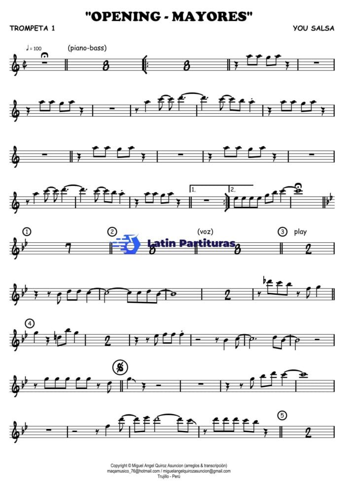 You Salsa - Opening & Mayores