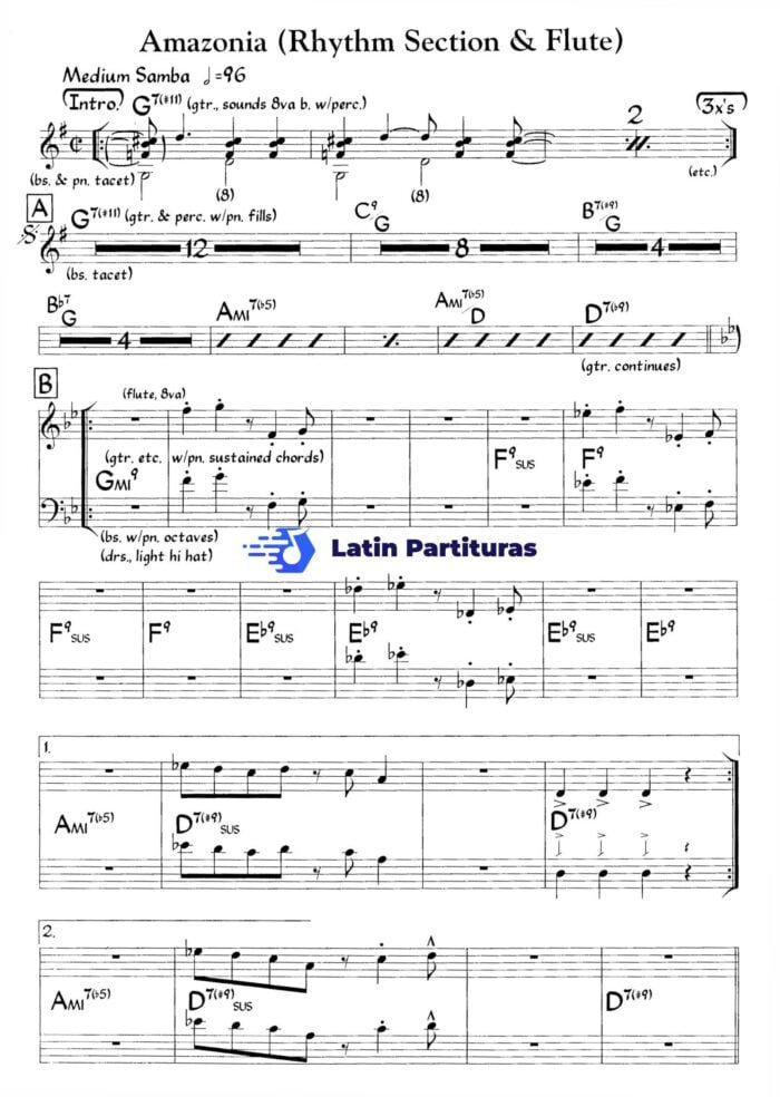 Amazonia Rhythm Section Flute 1