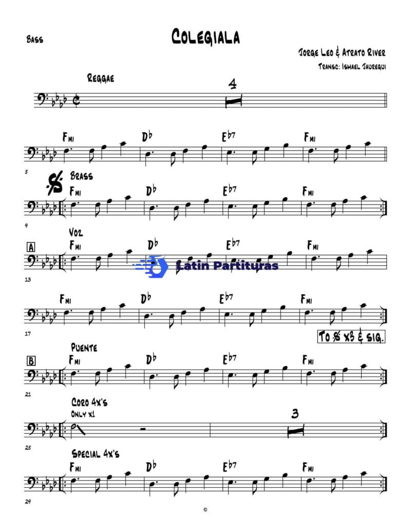 Atrato River - Colegiala